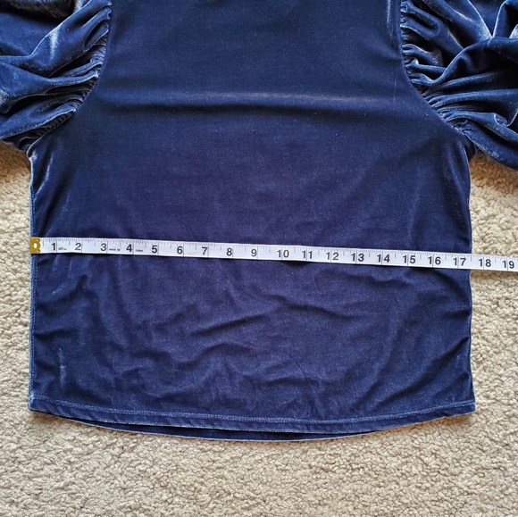 Free People Claudia Velvet puff sleeve Outerspace Top - Picture 4 of 10